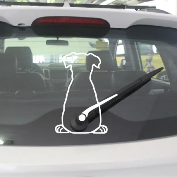 Autocolant amuzant pentru mașina L16 Popular
