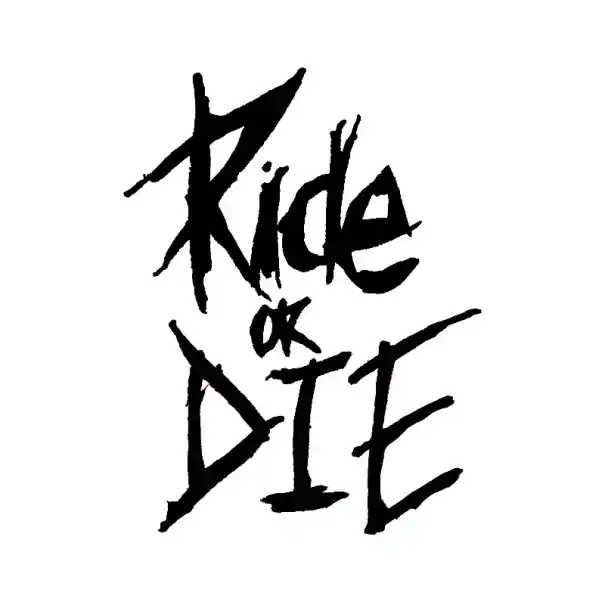 Autocolant pentru cadru de bicicletă 5,6 x 8 cm, design Ride or Die, decorare pentru motocicletă, autocolant durabil pentru bicicletă, stil stradal, tuning pentru biciclete Nu rata