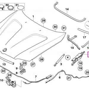 Livrare expres Balama capota motor stanga - BMW