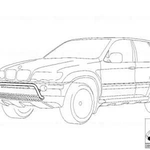 Grătar protecție negru E 53 SERIE - BMW Reducere