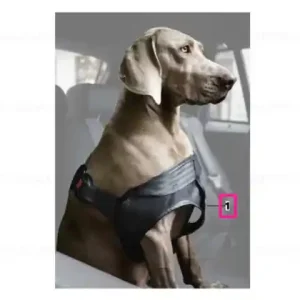 Super ofertă Ham câine MITTEL 14-27 KG - BMW