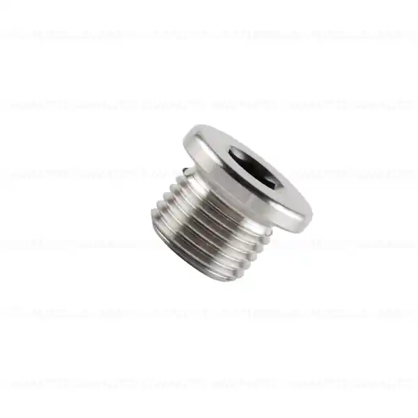Lichidare de stoc Surub de inchidere, filet metric, M16X1,5mm - BMW - BMW Motorrad