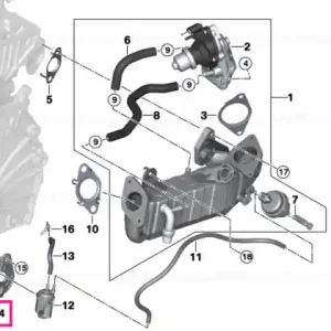 Livrare expres Holder - BMW