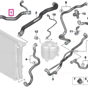 Furtun radiator - BMW Reducere