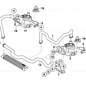 Coolant hose - BMW Popular
