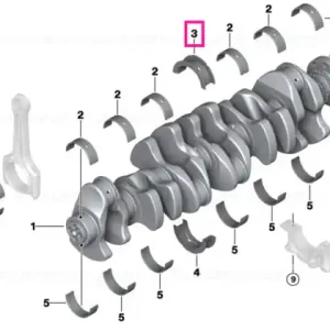 Guide bearing shell 3 (brown) 55,00 MM (0) - BMW Plată securizată