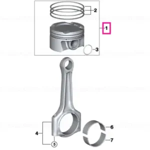 Chilipir Piston kit - BMW